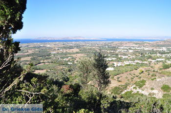 Uitzicht op Pyli en de noordkust van Kos | Foto 3 - Foto van https://www.grieksegids.nl/fotos/eilandkos-fotos/350pixels/eiland-kos-138.jpg