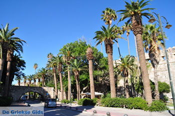 Kos stad (Kos-stad) | Eiland Kos | Griekenland foto 7 - Foto van https://www.grieksegids.nl/fotos/eilandkos-fotos/350pixels/eiland-kos-159.jpg