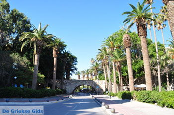 Kos stad (Kos-stad) | Eiland Kos | Griekenland foto 8 - Foto van https://www.grieksegids.nl/fotos/eilandkos-fotos/350pixels/eiland-kos-160.jpg