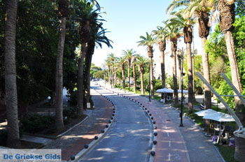 Kos stad (Kos-stad) | Eiland Kos | Griekenland foto 13 - Foto van https://www.grieksegids.nl/fotos/eilandkos-fotos/350pixels/eiland-kos-167.jpg