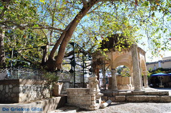 Kos stad (Kos-stad) | Eiland Kos | Griekenland - Plataan van Hippocrates - Foto van https://www.grieksegids.nl/fotos/eilandkos-fotos/350pixels/eiland-kos-178.jpg