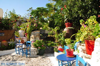 Kos stad (Kos-stad) | Eiland Kos | Griekenland foto 55 - Foto van https://www.grieksegids.nl/fotos/eilandkos-fotos/350pixels/eiland-kos-209.jpg