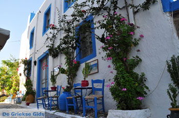 Kos stad (Kos-stad) | Eiland Kos | Griekenland foto 63 - Foto van https://www.grieksegids.nl/fotos/eilandkos-fotos/350pixels/eiland-kos-217.jpg