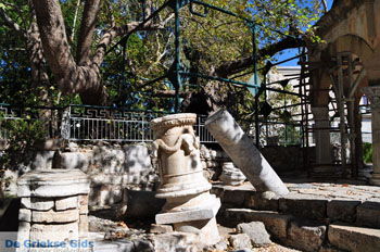 Kos stad (Kos-stad) | Eiland Kos | Griekenland foto 104 - Foto van https://www.grieksegids.nl/fotos/eilandkos-fotos/350pixels/eiland-kos-258.jpg