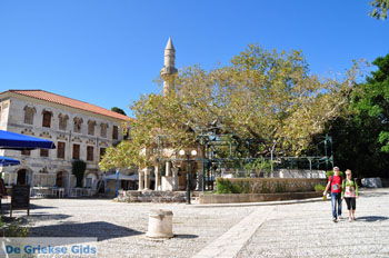 Kos stad (Kos-stad) | Eiland Kos | Griekenland - Plataan van Hippocrates - Foto van https://www.grieksegids.nl/fotos/eilandkos-fotos/350pixels/eiland-kos-263.jpg
