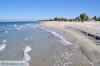 Marmari Kos | Eiland Kos | Griekenland foto 1 - Foto van https://www.grieksegids.nl/fotos/eilandkos-fotos/350pixels/eiland-kos-284.jpg