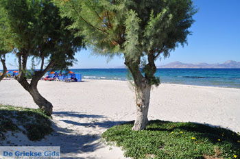 Marmari Kos | Eiland Kos | Griekenland foto 3 - Foto van https://www.grieksegids.nl/fotos/eilandkos-fotos/350pixels/eiland-kos-286.jpg