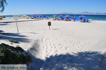 Marmari Kos | Eiland Kos | Griekenland foto 5 - Foto van https://www.grieksegids.nl/fotos/eilandkos-fotos/350pixels/eiland-kos-288.jpg