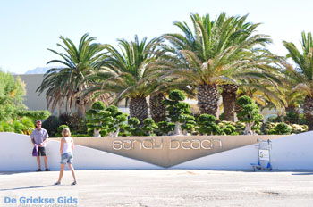 Sandy Beach Marmari Kos | Eiland Kos | Griekenland foto 13 - Foto van https://www.grieksegids.nl/fotos/eilandkos-fotos/350pixels/eiland-kos-296.jpg