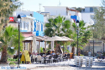 Mastichari Kos | Eiland Kos | Griekenland foto 9 - Foto van https://www.grieksegids.nl/fotos/eilandkos-fotos/350pixels/eiland-kos-307.jpg