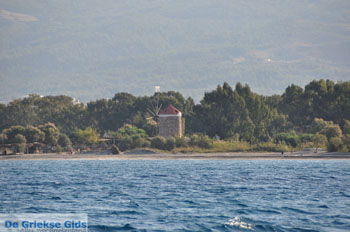 Kos stad (Kos-stad) | Eiland Kos | Griekenland foto 123 - Foto van https://www.grieksegids.nl/fotos/eilandkos-fotos/350pixels/eiland-kos-325.jpg