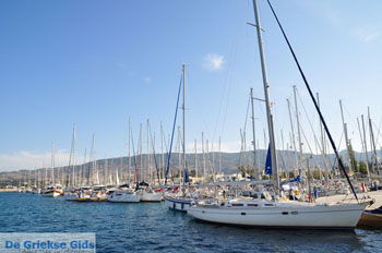 Marina Kos stad (Kos-stad) | Eiland Kos | Griekenland foto 126 - Foto van https://www.grieksegids.nl/fotos/eilandkos-fotos/350pixels/eiland-kos-328.jpg