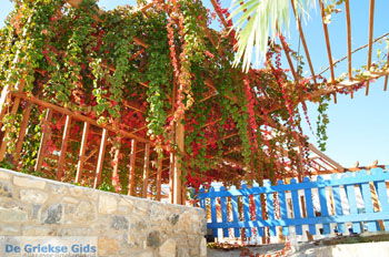 Bergdorp Zia op KosGriekenland foto 24 - Foto van https://www.grieksegids.nl/fotos/eilandkos-fotos/350pixels/eiland-kos-334.jpg