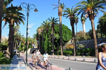 Kos stad (Kos-stad) | Eiland Kos | Griekenland foto 127 - Foto van De Griekse Gids