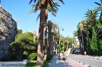Kos stad (Kos-stad) | Eiland Kos | Griekenland foto 128 - Foto van https://www.grieksegids.nl/fotos/eilandkos-fotos/350pixels/eiland-kos-341.jpg