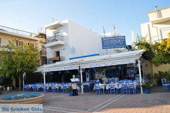 Kos stad (Kos-stad) | Eiland Kos | Griekenland foto 131 - Foto van https://www.grieksegids.nl/fotos/eilandkos-fotos/350pixels/eiland-kos-344.jpg