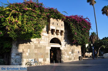 Kos stad (Kos-stad) | Eiland Kos | Griekenland foto 135 - Foto van https://www.grieksegids.nl/fotos/eilandkos-fotos/350pixels/eiland-kos-348.jpg