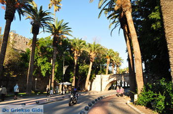Kos stad (Kos-stad) | Eiland Kos | Griekenland foto 139 - Foto van https://www.grieksegids.nl/fotos/eilandkos-fotos/350pixels/eiland-kos-352.jpg