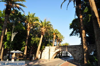Kos stad (Kos-stad) | Eiland Kos | Griekenland foto 140 - Foto van https://www.grieksegids.nl/fotos/eilandkos-fotos/350pixels/eiland-kos-353.jpg