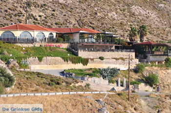 Hotel Aegean View Kos stad | De Griekse Gids | Foto 3 - Foto van https://www.grieksegids.nl/fotos/eilandkos-fotos/350pixels/eiland-kos-361.jpg