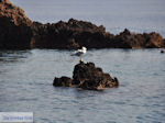 Eiland Formekula bij Lefkas - Griekenland - foto 4 - Foto van De Griekse Gids