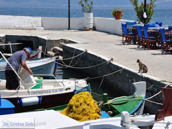 Eiland Kalamos bij Lefkas - Griekenland - foto 18 - Foto van https://www.grieksegids.nl/fotos/eilandlefkas-fotos-eilandjes/kalamos/350pixels/eiland-kalamos-bij-lefkas-018.jpg