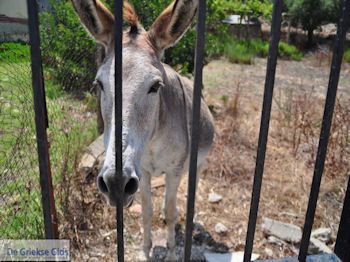 Eiland Kastos bij Lefkas - Griekenland - foto 13 - Foto van De Griekse Gids