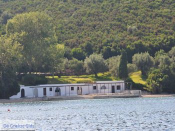 Eiland Skorpios bij Lefkas - Griekenland - foto 01 - Foto van https://www.grieksegids.nl/fotos/eilandlefkas-fotos-eilandjes/skorpios/350pixels/eiland-skorpios-bij-lefkas-001.jpg