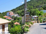 Athani, overal bloemen und heel veel groen - Lefkas (Lefkada) - Foto GriechenlandWeb.de