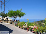 Heerlijk genieten in Athani - Lefkas (Lefkada) - Foto van De Griekse Gids