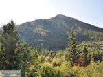 GriechenlandWeb De groene natuur in het berggebied Englouvi - Lefkas (Lefkada) - Foto GriechenlandWeb.de