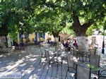 GriechenlandWeb.de Het dorpsplein in Englouvi - Lefkas (Lefkada) - Foto GriechenlandWeb.de