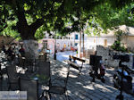 GriechenlandWeb.de Het dorpsplein in Englouvi foto 2 - Lefkas (Lefkada) - Foto GriechenlandWeb.de