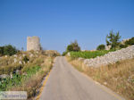 Op de hoogvlakte Englouvi foto 1 - Lefkas (Lefkada) - Foto GriechenlandWeb.de