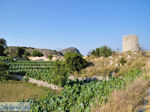 Op de hoogvlakte bij Englouvi foto 2 - Lefkas (Lefkada) - Foto van De Griekse Gids