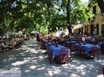 Het gezellige plein van Karia (Karya) foto 4 - Lefkas (Lefkada) - Foto van De Griekse Gids