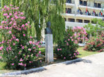 Lefkas stad foto 87 - Lefkas (Lefkada) - Foto van De Griekse Gids
