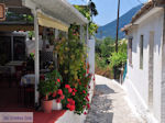 Poros Lefkados - Mikros Gialos foto 35 - Lefkas (Lefkada) - Foto van De Griekse Gids