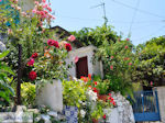 Poros Lefkados - Mikros Gialos foto 37 - Lefkas (Lefkada) - Foto van De Griekse Gids