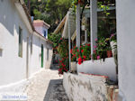 Poros Lefkados - Mikros Gialos foto 40 - Lefkas (Lefkada) - Foto van De Griekse Gids