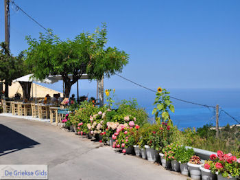 Mooie bloemen in Athani - Lefkas (Lefkada) - Foto von GriechenlandWeb.de