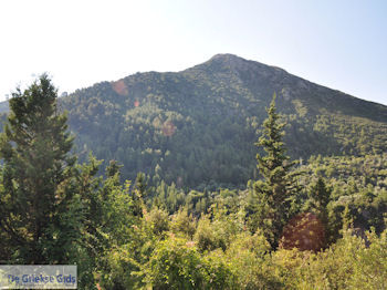 De groene natuur in het berggebied bij Englouvi - Lefkas (Lefkada) - Foto van https://www.grieksegids.nl/fotos/eilandlefkas-fotos/350pixels/englouvi-lefkas-001.jpg