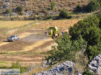 Linzenstreek Englouvi - Lefkas (Lefkada) - Foto van https://www.grieksegids.nl/fotos/eilandlefkas-fotos/350pixels/englouvi-lefkas-009.jpg