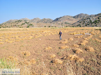 Thomas Kontogiorgis uit Englouvi - Lefkas (Lefkada) - Foto van https://www.grieksegids.nl/fotos/eilandlefkas-fotos/350pixels/englouvi-lefkas-010.jpg