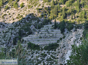 Landbouwgrond Englouvi - Lefkas (Lefkada) - Foto van https://www.grieksegids.nl/fotos/eilandlefkas-fotos/350pixels/englouvi-lefkas-039.jpg