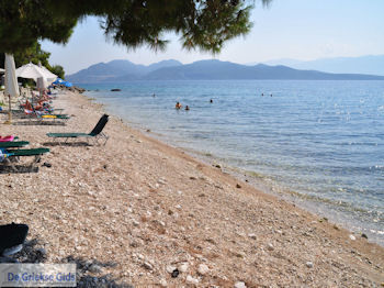 Het kustplaatsje Nikiana foto 3 - Lefkas (Lefkada) - Foto van https://www.grieksegids.nl/fotos/eilandlefkas-fotos/350pixels/nikiana-lefkas-007.jpg