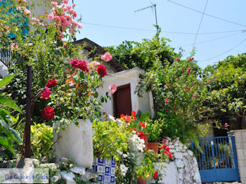 Poros Lefkados - Mikros Gialos foto 37 - Lefkas (Lefkada) - Foto van https://www.grieksegids.nl/fotos/eilandlefkas-fotos/350pixels/poros-lefkas-037.jpg