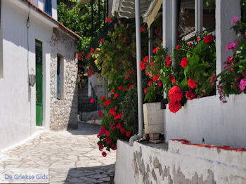 Poros Lefkados - Mikros Gialos foto 39 - Lefkas (Lefkada) - Foto van De Griekse Gids