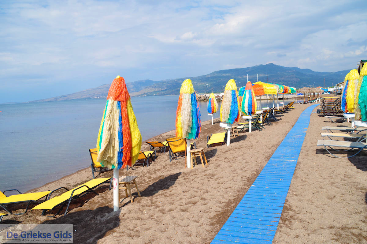 foto Parasols en ligbedden aan strand van Skala Kallonis