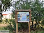 Birdwatching in Lesbos - Foto van De Griekse Gids